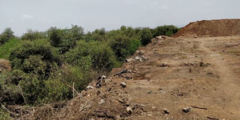 Environmental Security? Mangrove burial in JNPTSEZ